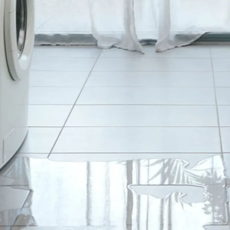 Appliance Leak Cleanup in Boyd, TX