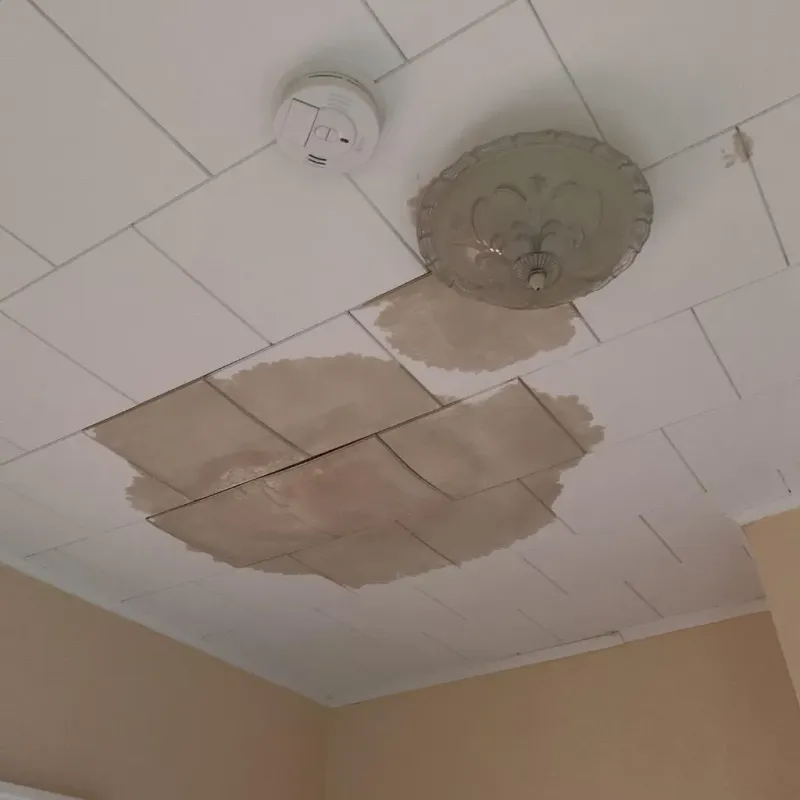 Ceiling Water Damage Repair in Boyd, TX